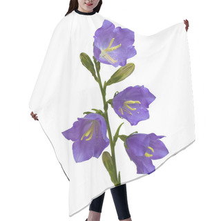 Personality  Bell Flower Hair Cutting Cape