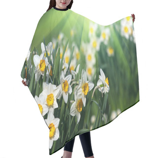 Personality  Narcissus Hair Cutting Cape