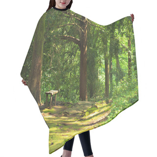 Personality  Green Summer Forest With Bench Hair Cutting Cape