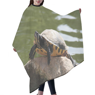 Personality  Eared Turtle Hair Cutting Cape