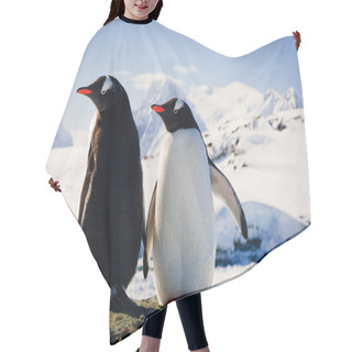 Personality  Two Penguins Hair Cutting Cape