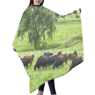Personality  Idyllic Green Landscape With Grazing Cows Hair Cutting Cape
