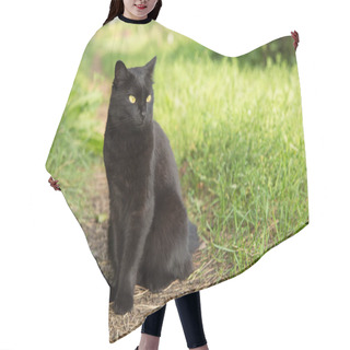 Personality  Bombay Black Cat In Green Grass. Outdoors, Nature Hair Cutting Cape