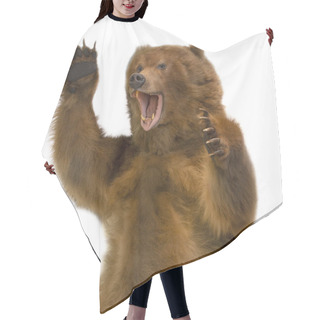 Personality  The Taxidermy Of A Kamchatka Brown Bear On White Background Hair Cutting Cape