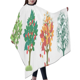 Personality  Seasons Trees. Vector Illustration Hair Cutting Cape