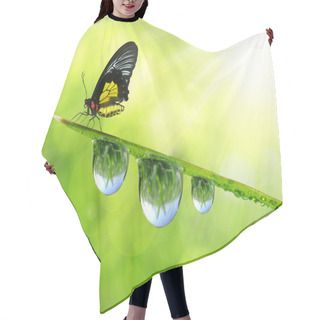 Personality  Dew And Butterfly Hair Cutting Cape