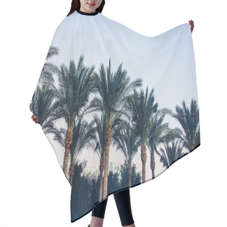 Personality  Egypt Hair Cutting Cape
