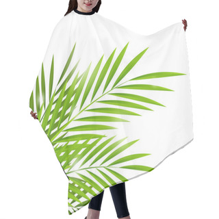 Personality  Palm Leaves Hair Cutting Cape