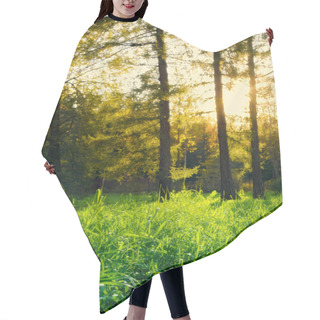 Personality  Pine Forest Hair Cutting Cape