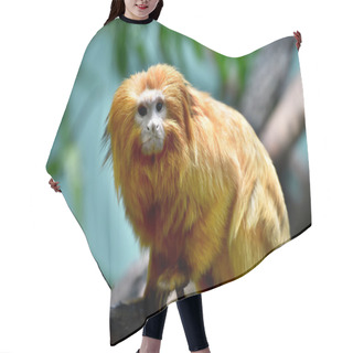 Personality  Golden Lion Tamarin Hair Cutting Cape