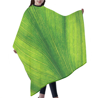 Personality  Green Leaf Texture Background Hair Cutting Cape