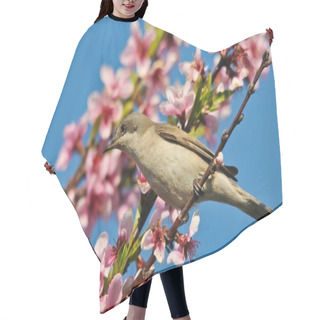Personality  Nightingale Hair Cutting Cape