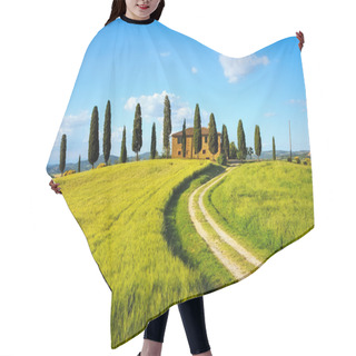 Personality  Tuscany, Farmland, Cypress Trees And White Road On Sunset. Siena Hair Cutting Cape