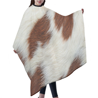 Personality  A Fragment Of A Skin Of A Cow Close Up On A Background Photo Hair Cutting Cape