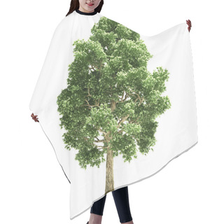 Personality  Poplar Tree Isolated Hair Cutting Cape