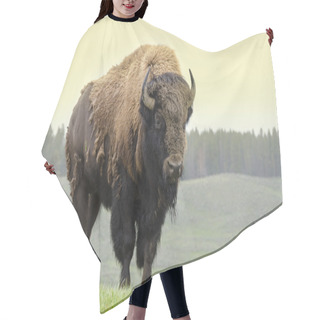 Personality  Bison In America Hair Cutting Cape