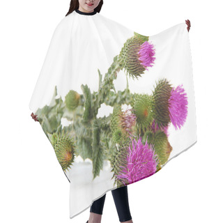 Personality  Thistle Flowers Isolated On White Hair Cutting Cape