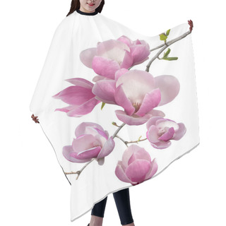 Personality  Flowering Branch Of Magnolia Hair Cutting Cape