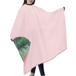 Personality  Top View Of Green Palm Leaf On Pink, Minimalistic Concept  Hair Cutting Cape