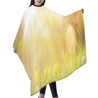 Personality  Art Abstract Spring Background Or Summer Background With Fresh G Hair Cutting Cape