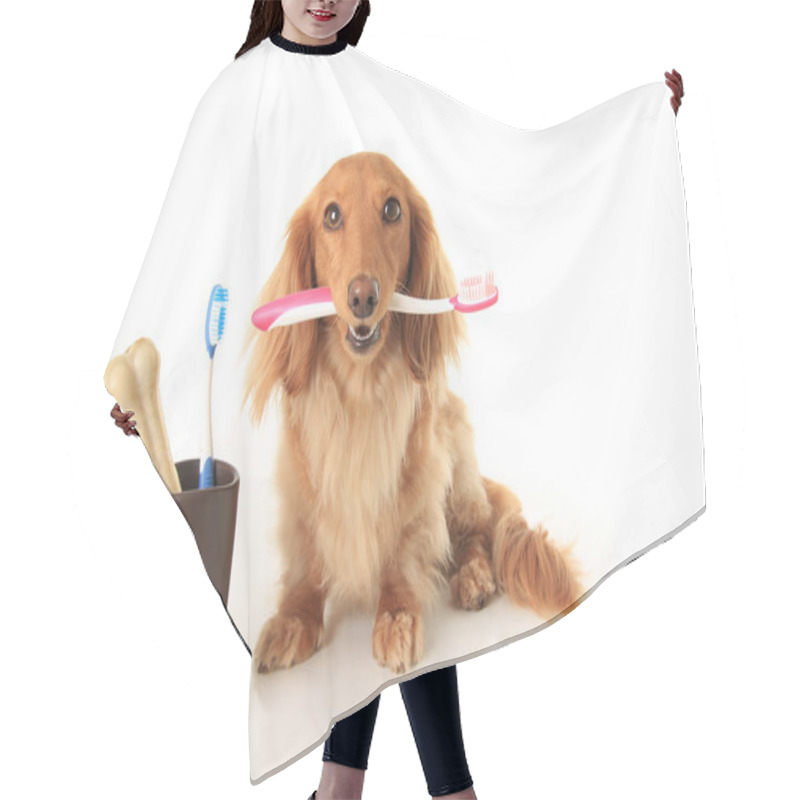 Personality  Dog And Tooth Brush Hair Cutting Cape