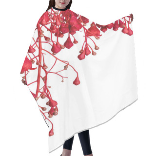 Personality  Flame Tree Red Flower Border Over White Hair Cutting Cape