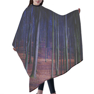 Personality  Fantasy Fairy Forest Hair Cutting Cape
