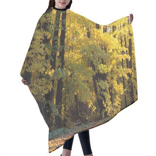 Personality  Trees In Autumn Hair Cutting Cape