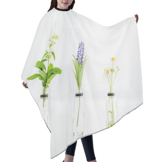 Personality  Salvia, Hyacinth And Chamomile Plants In Transparent Bottles On White Background  Hair Cutting Cape