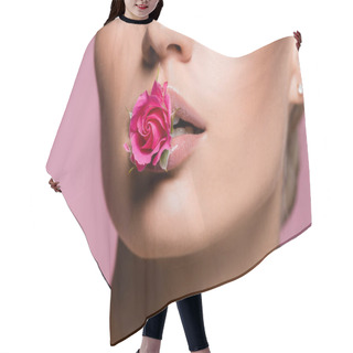 Personality  Cropped View Of Beautiful Woman With Rose Flower In Mouth Isolated On Pink Hair Cutting Cape