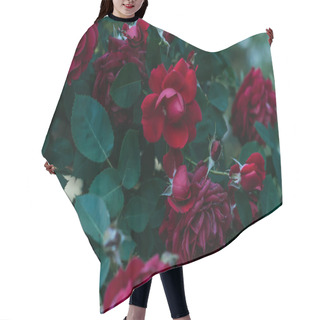 Personality  Close Up View Of Red Rose Flowers Hair Cutting Cape