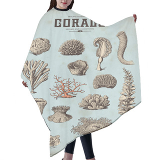 Personality  Sea Set - Corals, Sponges Hair Cutting Cape