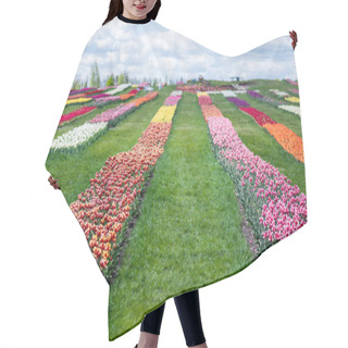 Personality  Colorful Tulips Field With Blue Sky And Clouds Hair Cutting Cape