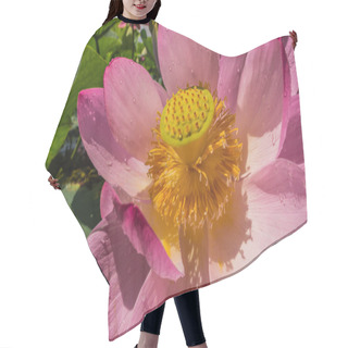 Personality  The Lake Of Lotus Flowers Hair Cutting Cape