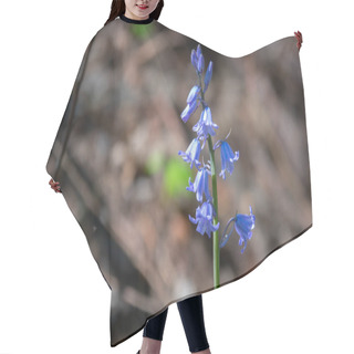 Personality  The Blue Flowers Of The Blue Bellflower Glow In The Sun Hair Cutting Cape