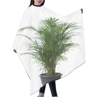 Personality  Home Plant In Flowerpot Hair Cutting Cape