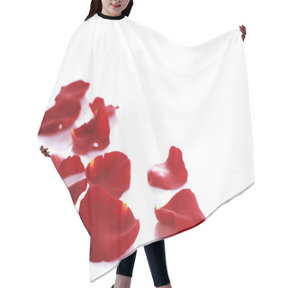 Personality  Rose Petals Border Hair Cutting Cape