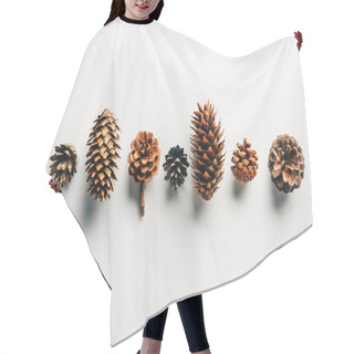 Personality  Top View Of Pine Cones Arranged On White Backdrop Hair Cutting Cape