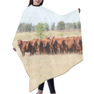 Personality  Red Angus Cattle Hair Cutting Cape