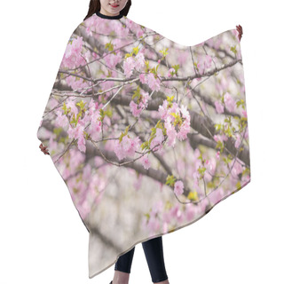 Personality  Sakura Or Japan Cherry Blossom Branches, Which Will Fully Bloomi Hair Cutting Cape
