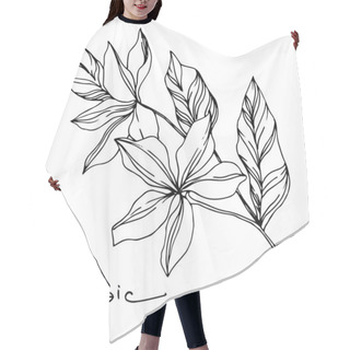 Personality  Vector Palm Beach Tree Leaves. Black And White Engraved Ink Art. Isolated Leaves Illustration Element. Hair Cutting Cape