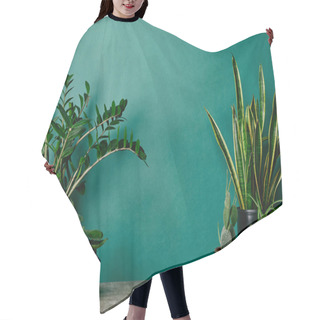 Personality  Different Plants On Rusty Table On Green Background Hair Cutting Cape