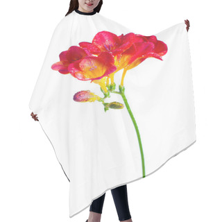 Personality  Branch Of Red And Yellow Freesia Hair Cutting Cape