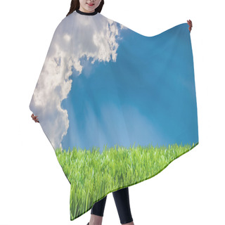 Personality  Spring Summer Lawncare Hair Cutting Cape