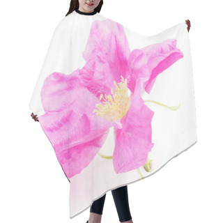 Personality  Wild Rose Flower On A White Background Hair Cutting Cape