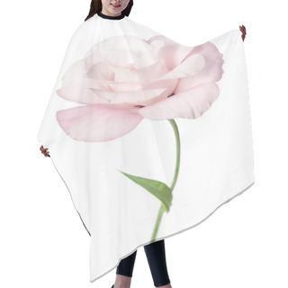 Personality  Beautiful Eustoma Flower Isolated On White Background Hair Cutting Cape