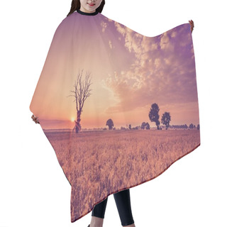 Personality  Vintage Photo Of Early Morning On Rye Field Hair Cutting Cape