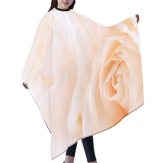 Personality  Macro Of Two Delicate Beige Roses On White Background Hair Cutting Cape