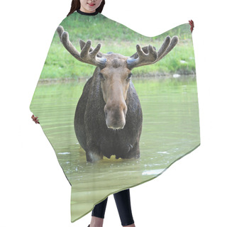 Personality  Moose In Water Hair Cutting Cape