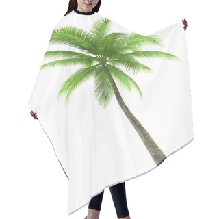 Personality  Palm Tree Isolated On White Hair Cutting Cape